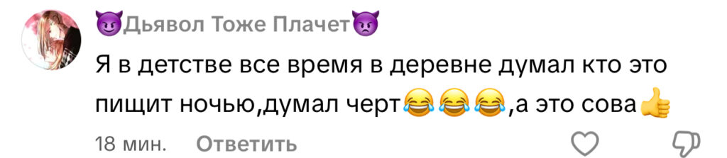 комментарий