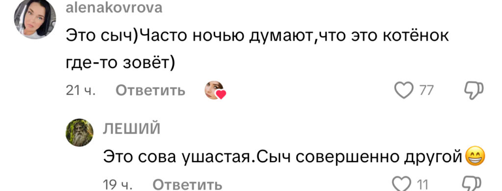 комментарий