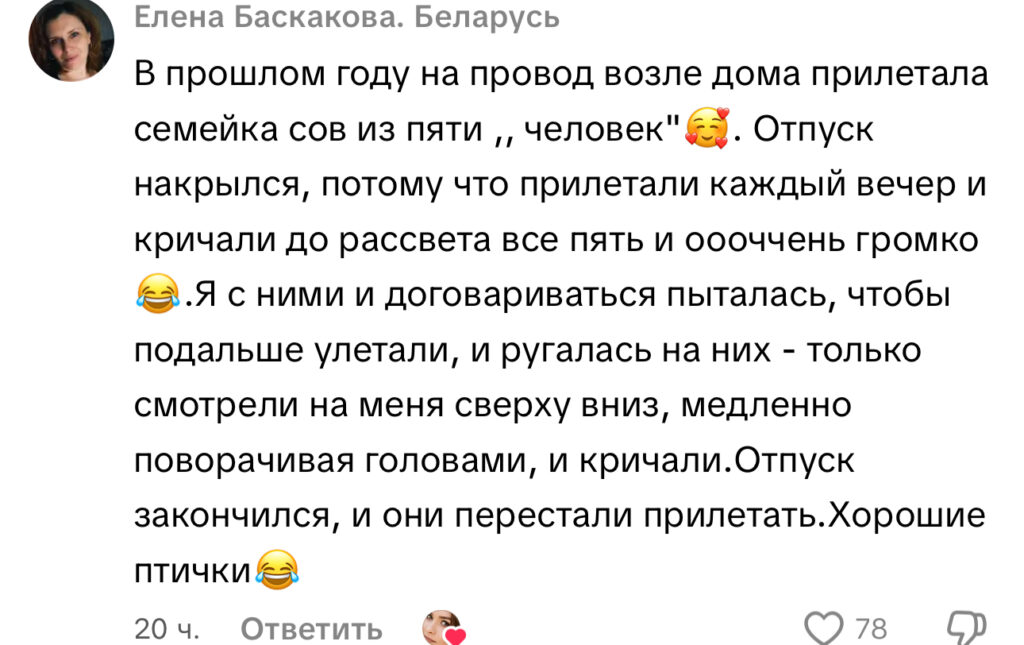 комментарий