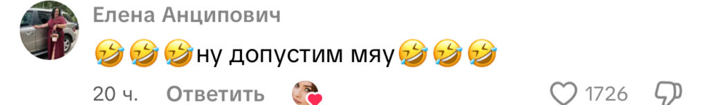 комментарий