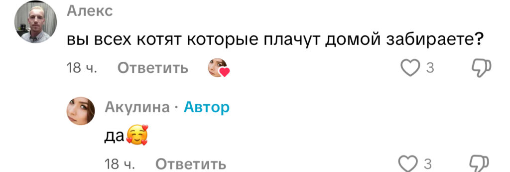 комментарий