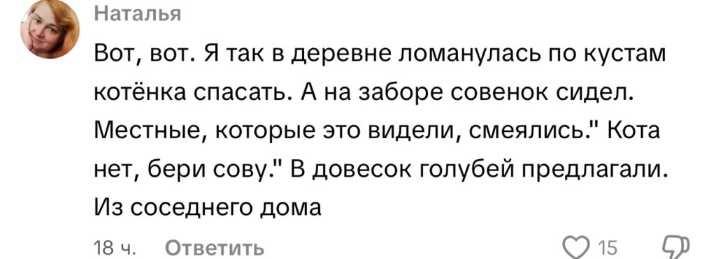 комментарий