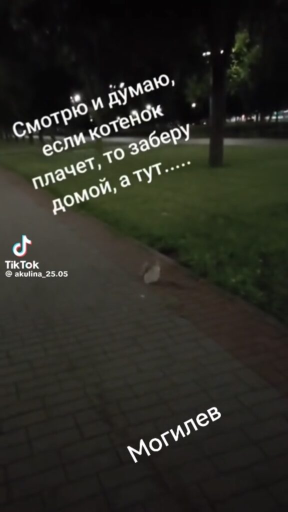 Могилев