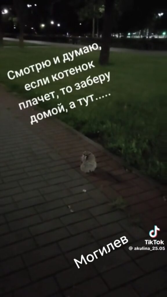 сова