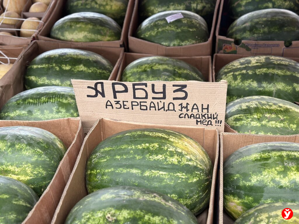 арбуз