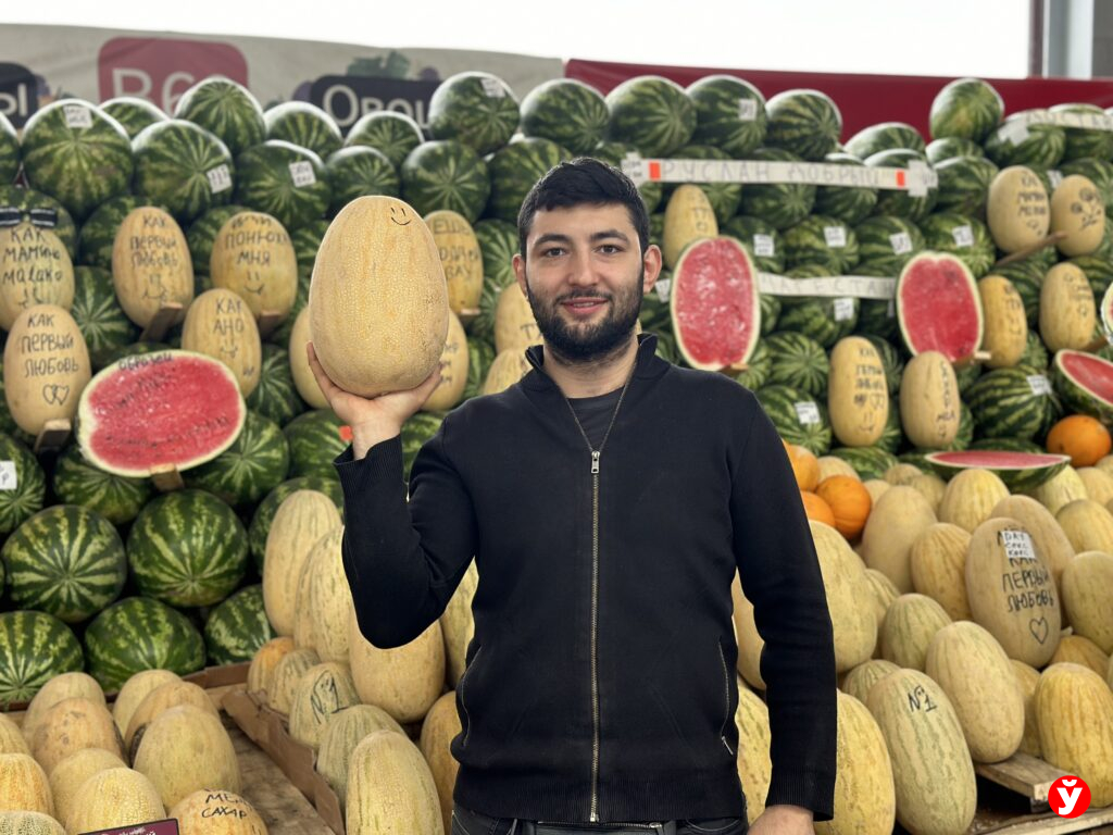 Таборы