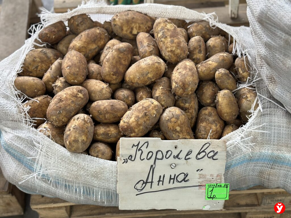 картошка