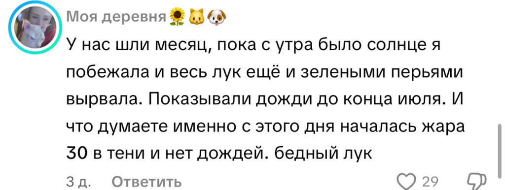 комментарий