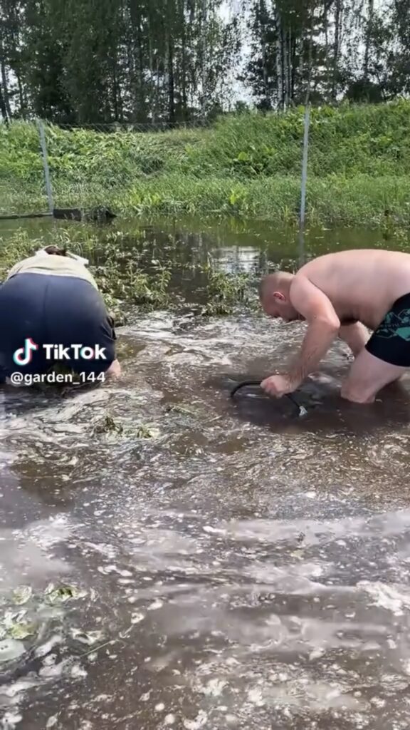 потоп