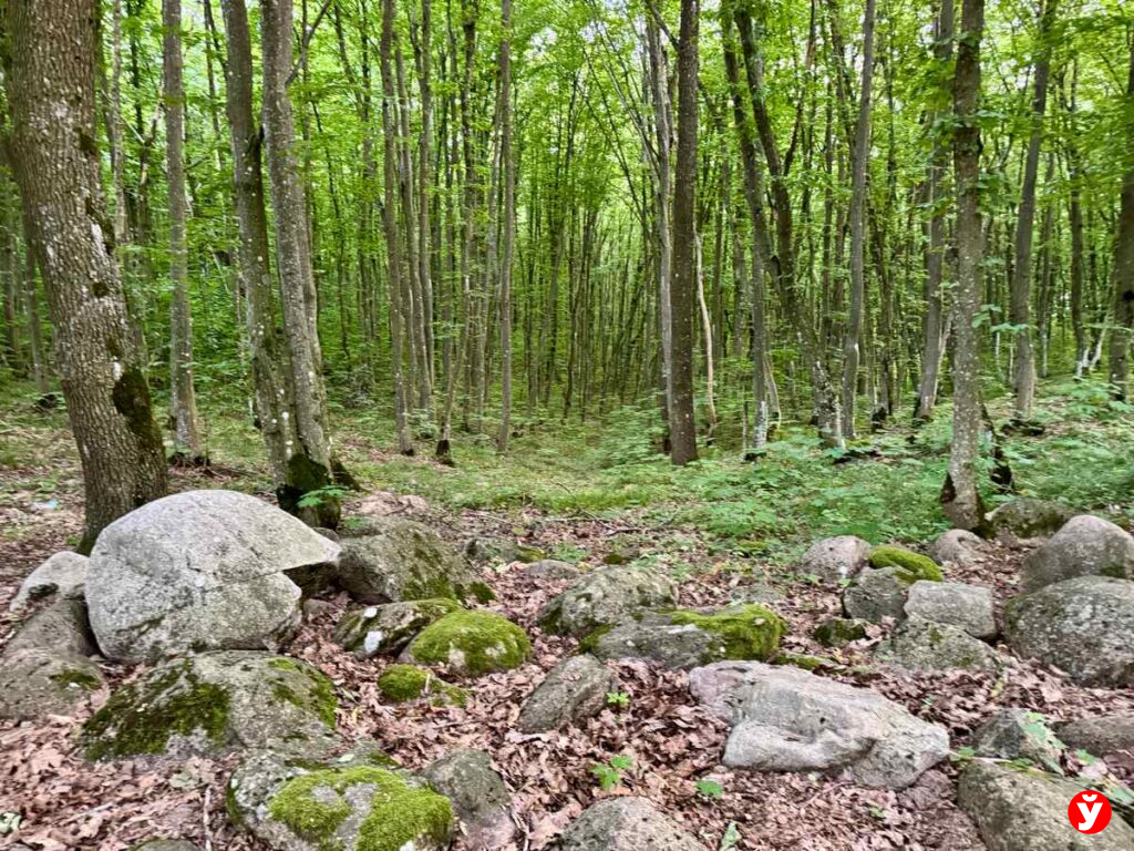 Копыль