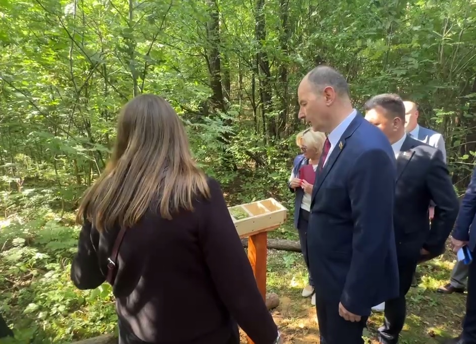 В Заславле появится экотропа «Тайны леса»