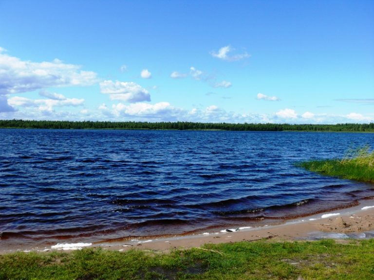 В Пуховичском районе ребенка унесло за 100 метров от берега. На помощь пришел спасатель
