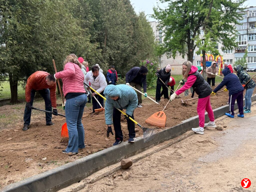 В Беларуси могут ввести единый день уборки на законодательном уровне