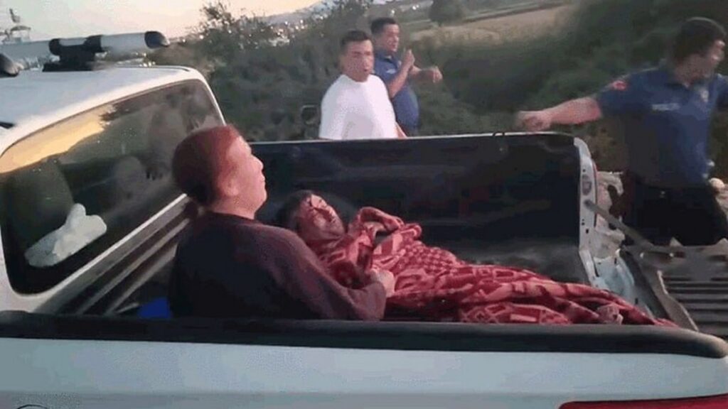 Лев вырвался из клетки в зоопарке турецкого курорта и напал на человека