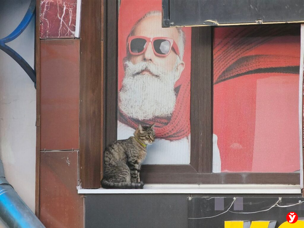 Борисов