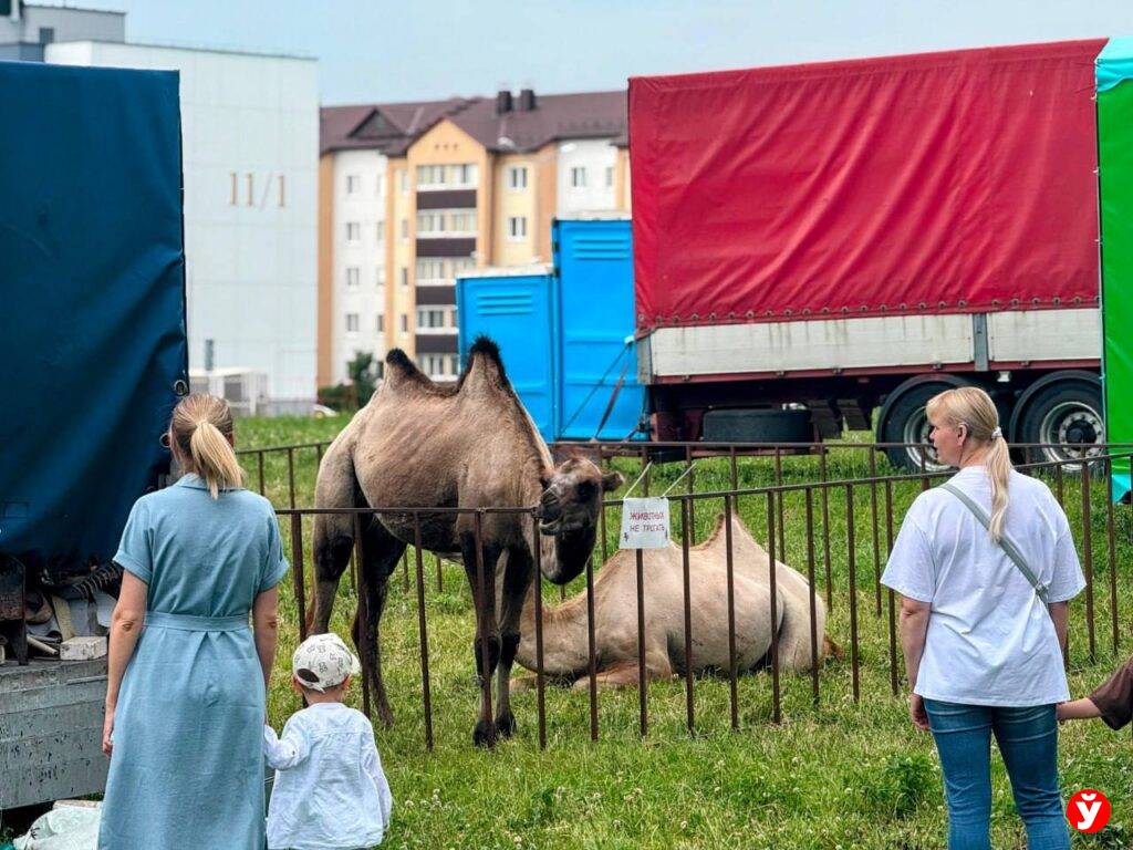 Дзержинск