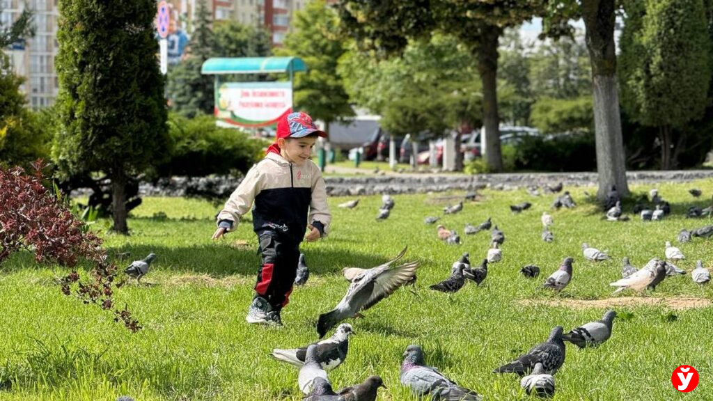 Жодино