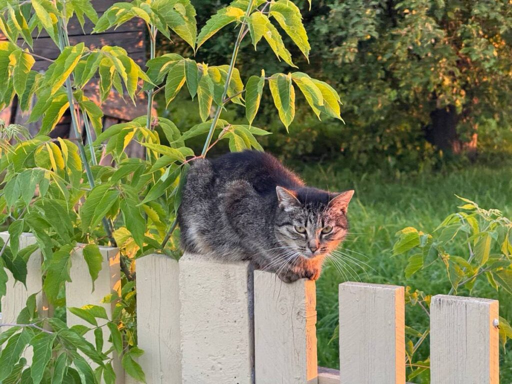 Березино