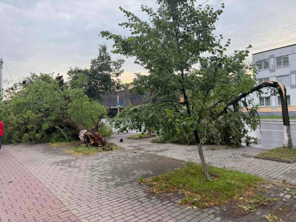 В Беларуси из-за грозы без света остались более 60 населенных пунктов