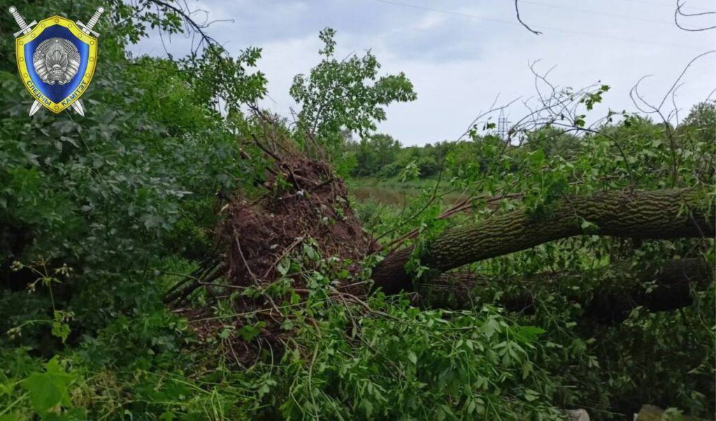 В Могилеве во время грозы погибла женщина — СК проводит проверку