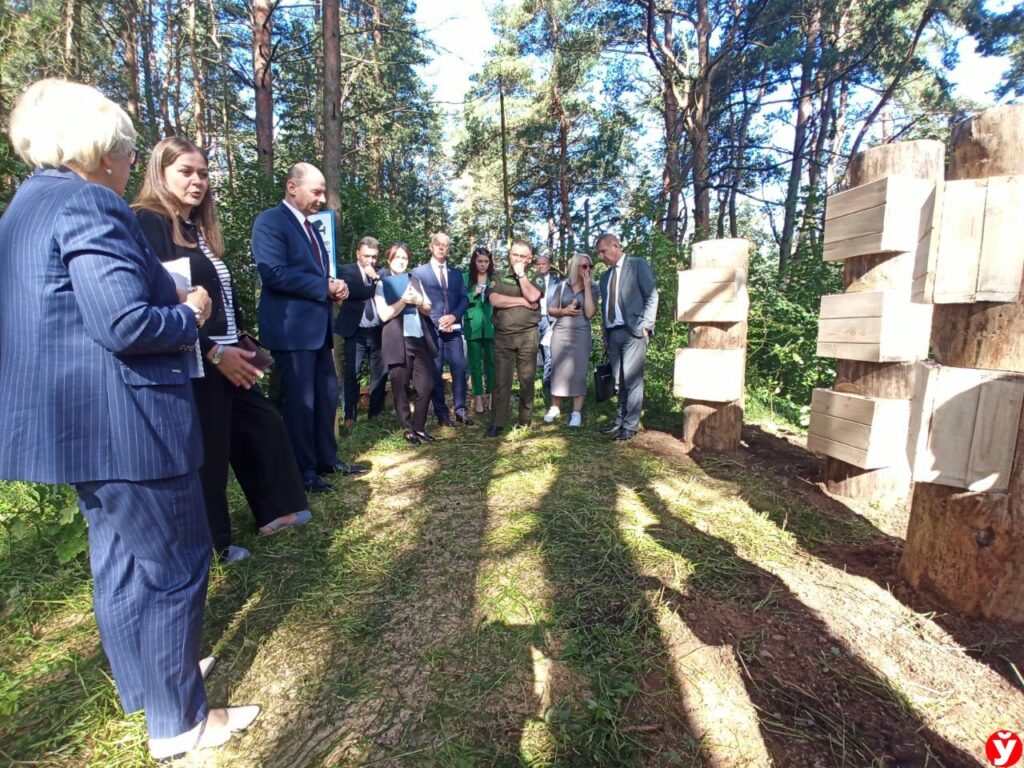 В Заславле появится экотропа «Тайны леса»