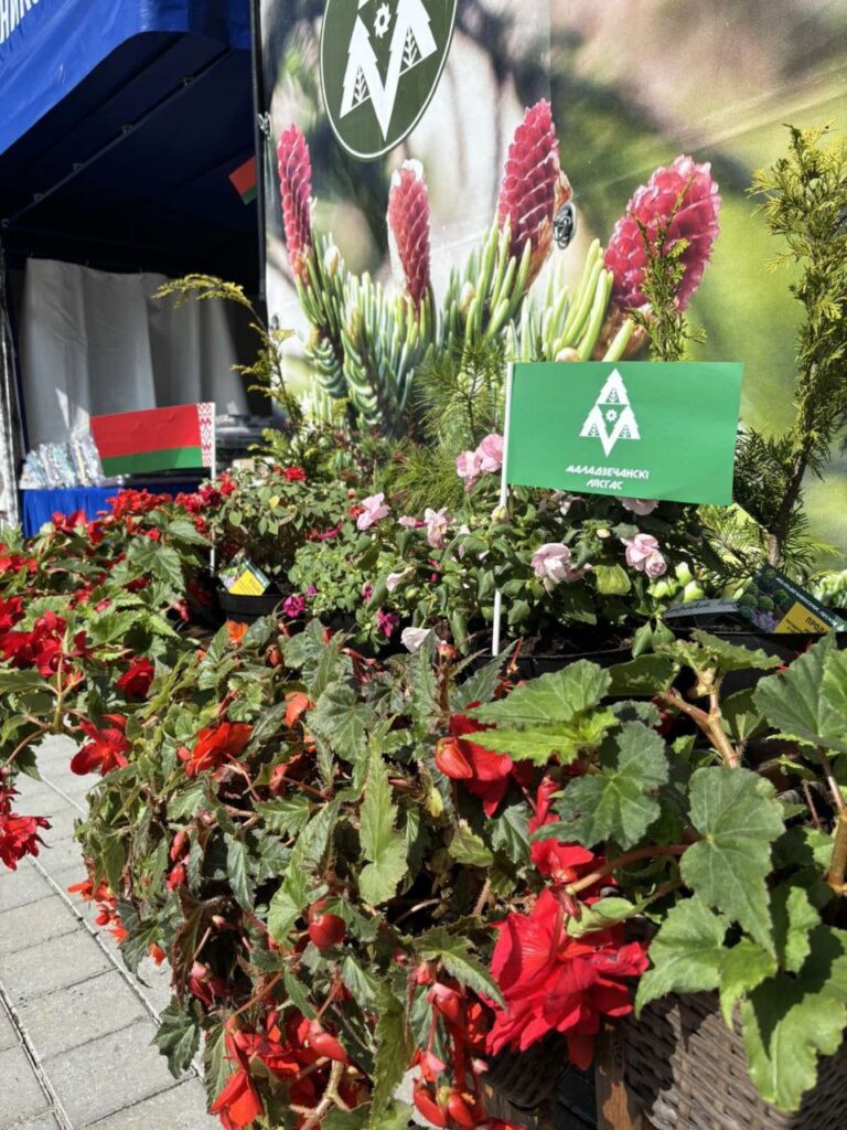 Молодчно Курган