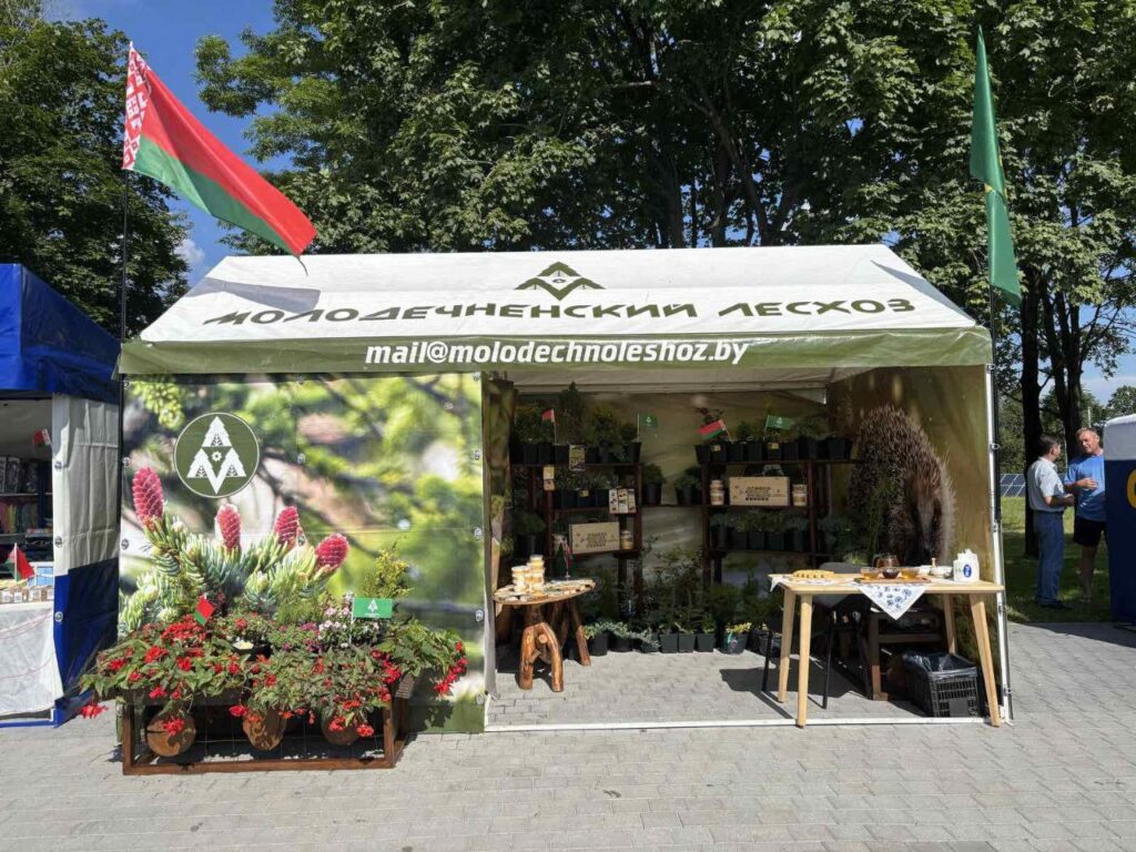 Молодчно Курган