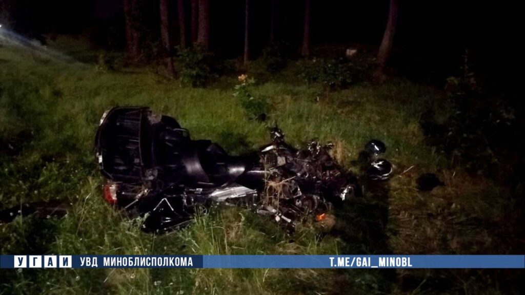 Мотоциклист погиб при столкновении с лосем под Минском