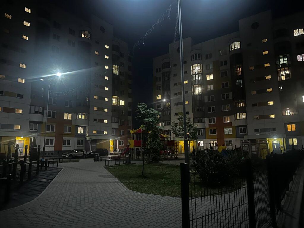 Волк или дикая собака? Жители Сеницы в панике: загадочный зверь снова на улицах