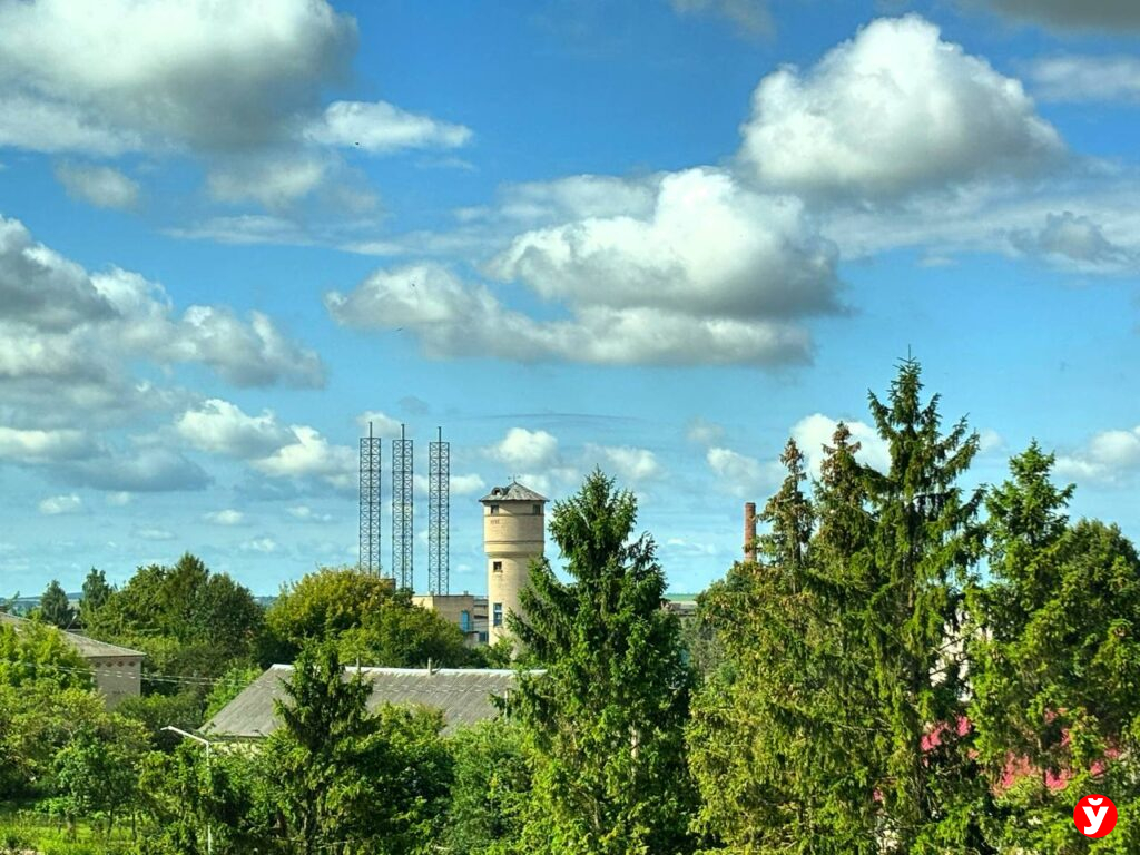 зелень
