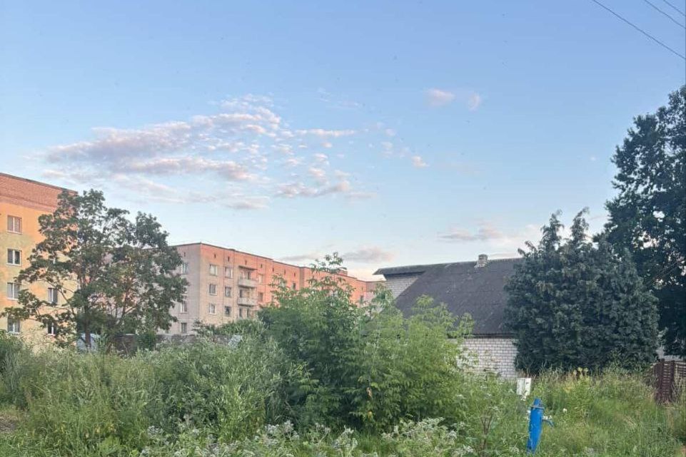 «Вчера даже змею видела»: когда в Борисове покосят траву в одном из дворов