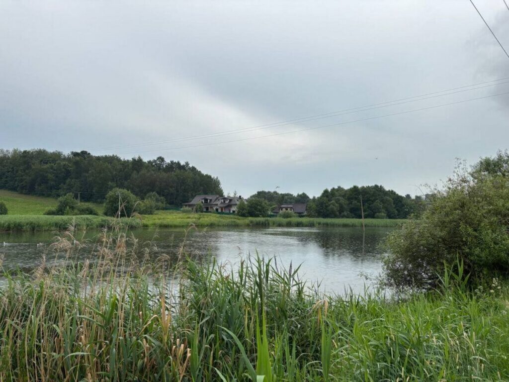 В водоеме в Минском районе гибнет рыба