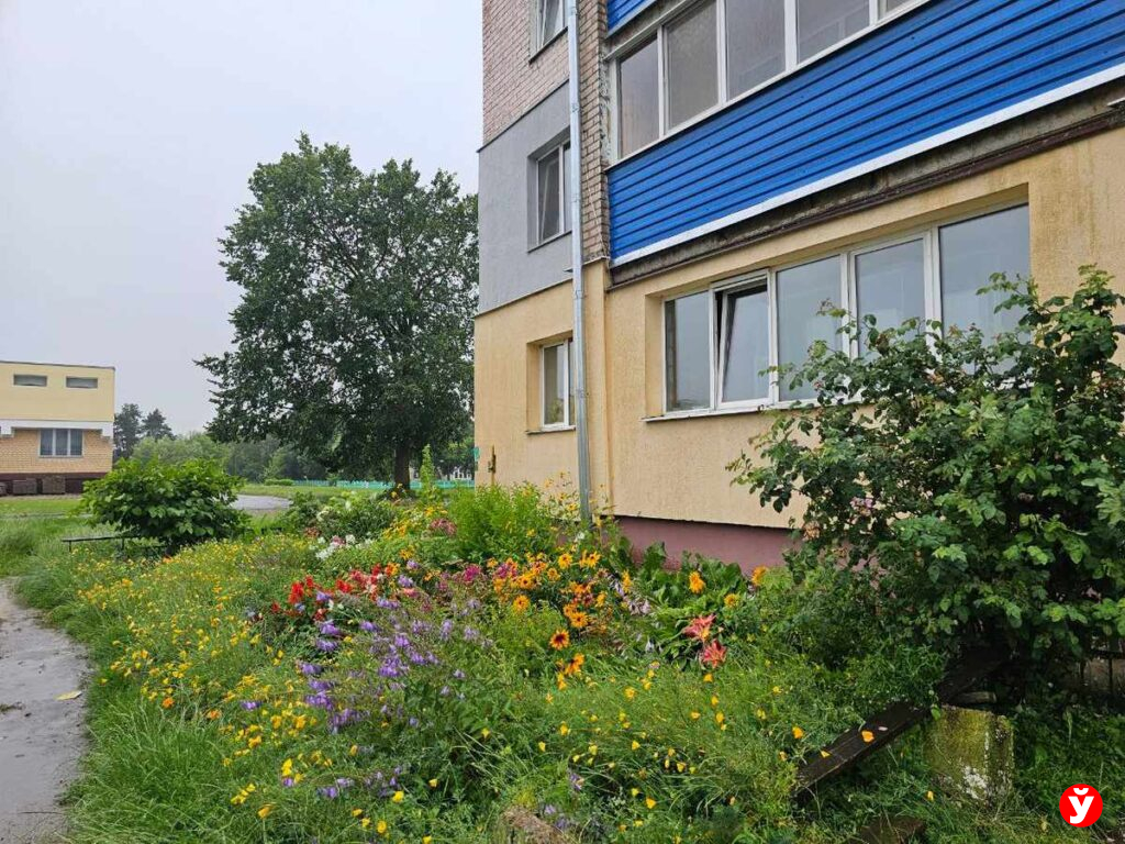 Скамейки в Борисове
