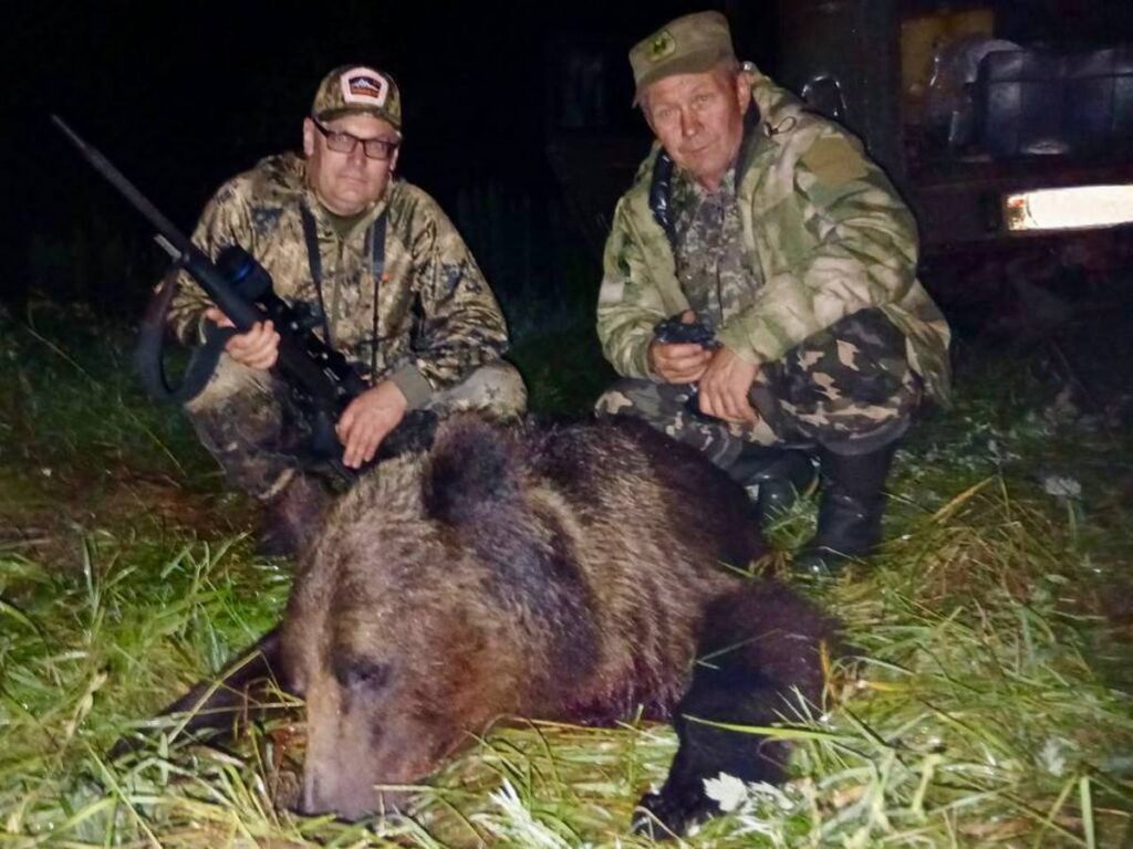 Второго медведя на охоте добыли в Борисовском лесном хозяйстве
