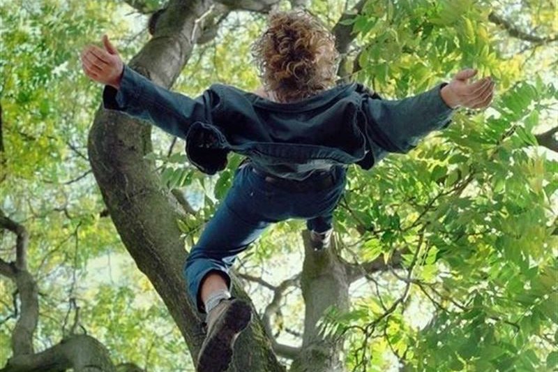В Дзержинском районе 9-летний мальчик упал с дерева и получил серьезные травмы