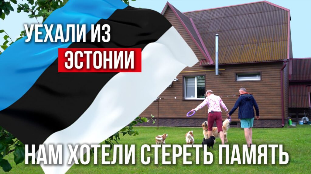 Агрогородок в Беларуси вместо Эстонии: честная история семьи, которая решила начать все заново