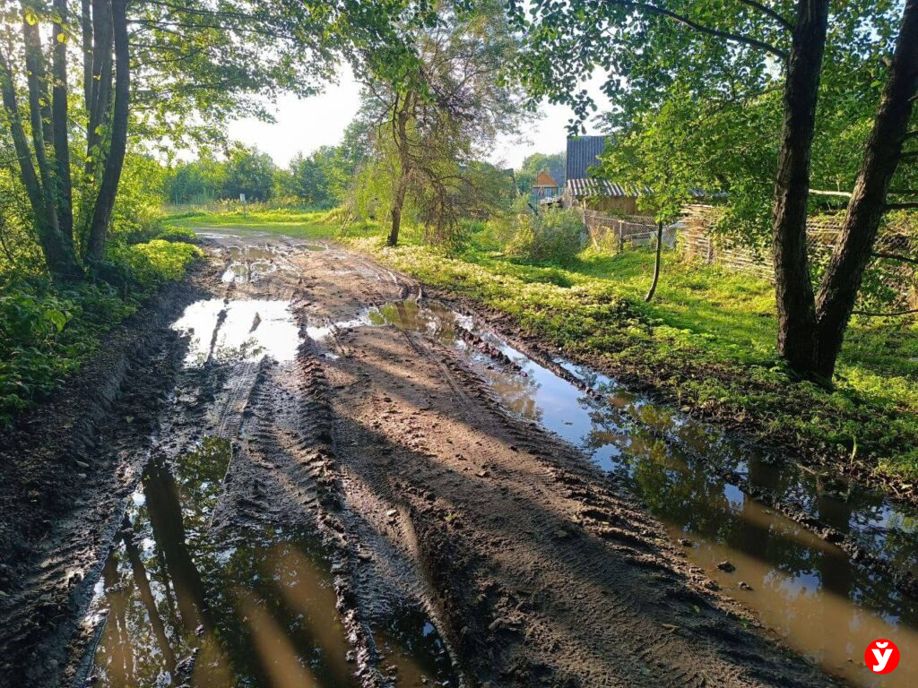 Дорога Вилейка