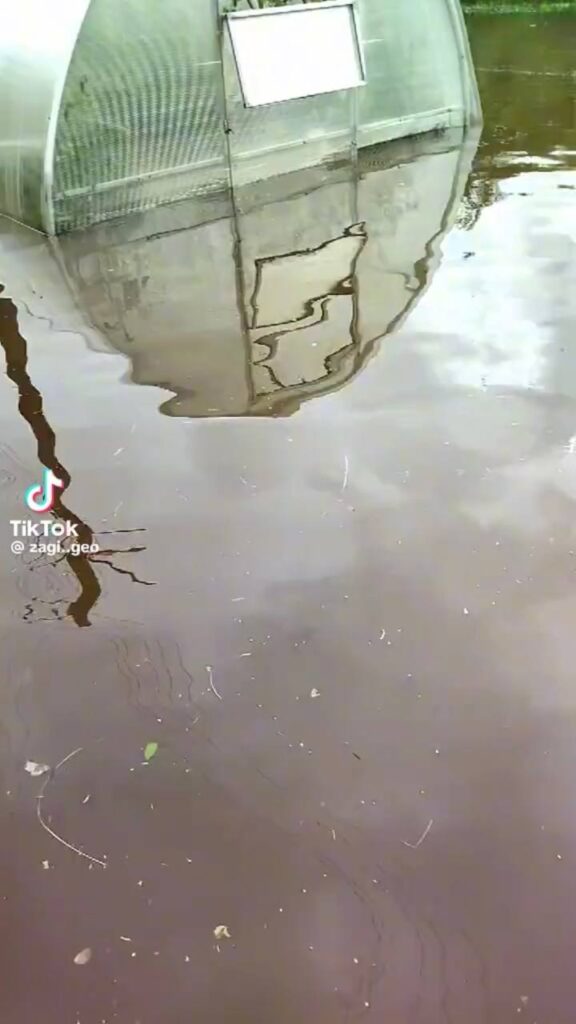 потоп