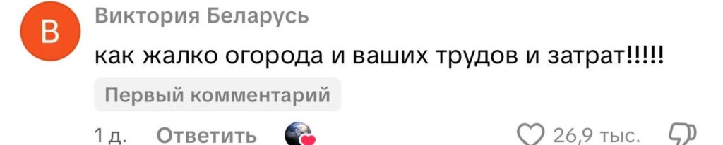 комментарии