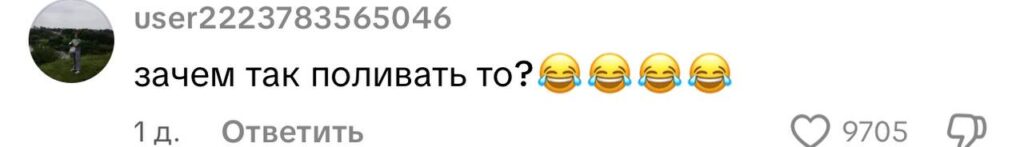 комментарий