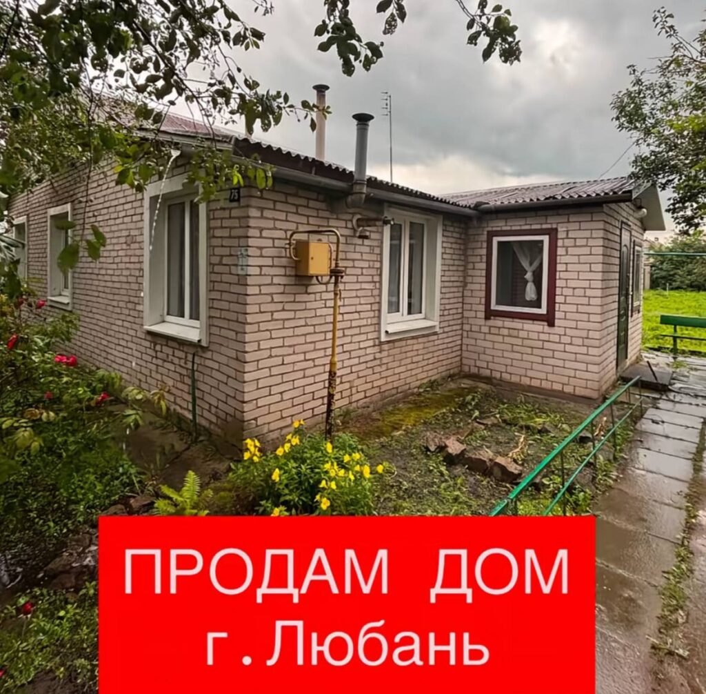 В сети разгорелись споры из-за дома в Любани за 109 тысяч рублей