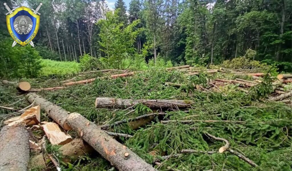Трое детей пострадали в Брестской области за выходные: следователи начали проверки
