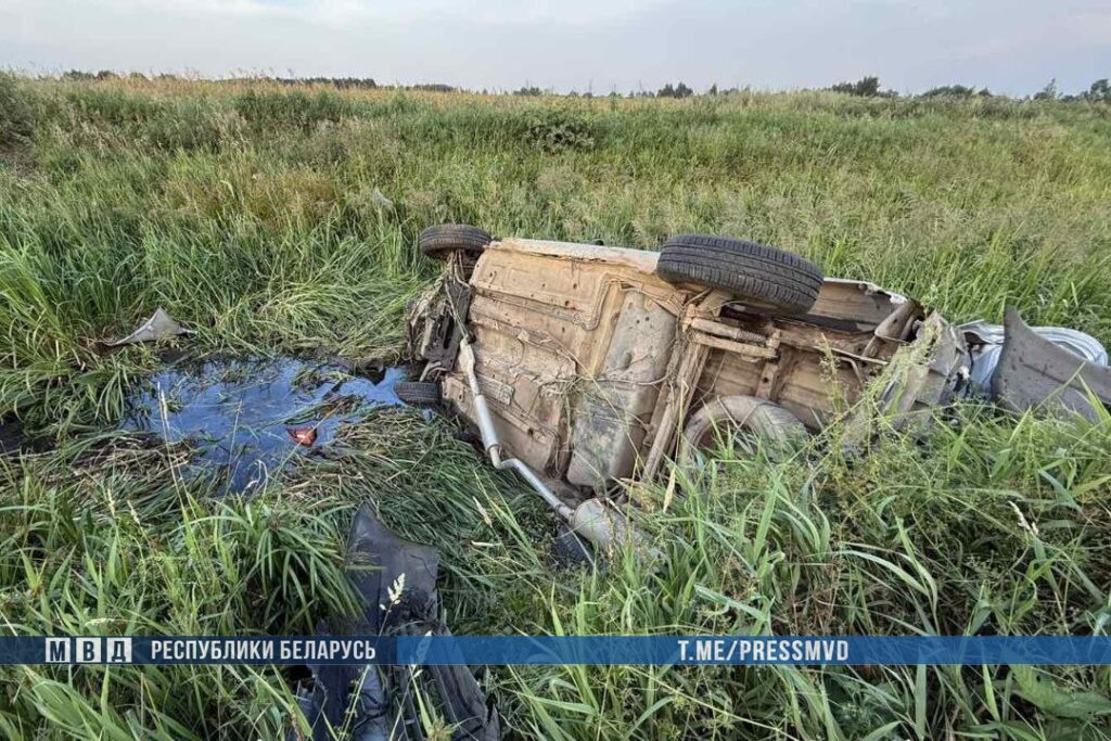 Двое погибли в опрокинувшемся авто под Копылем