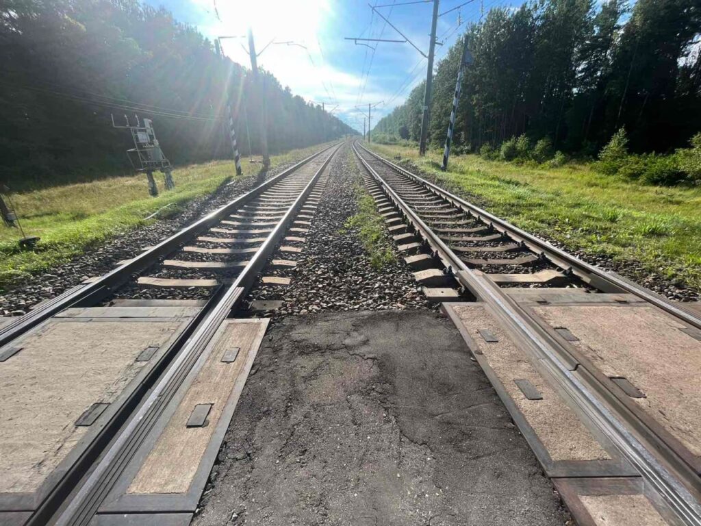 Родителей подростков из Минской области привлекут за камни на рельсах