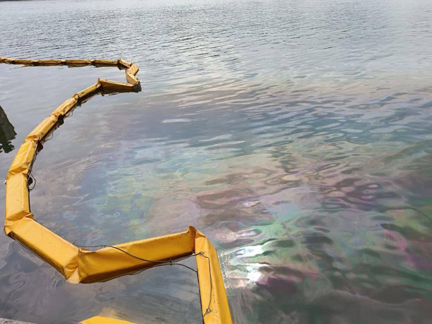 Что показали пробы воды на озере Свислочь после разлива нефтепродуктов