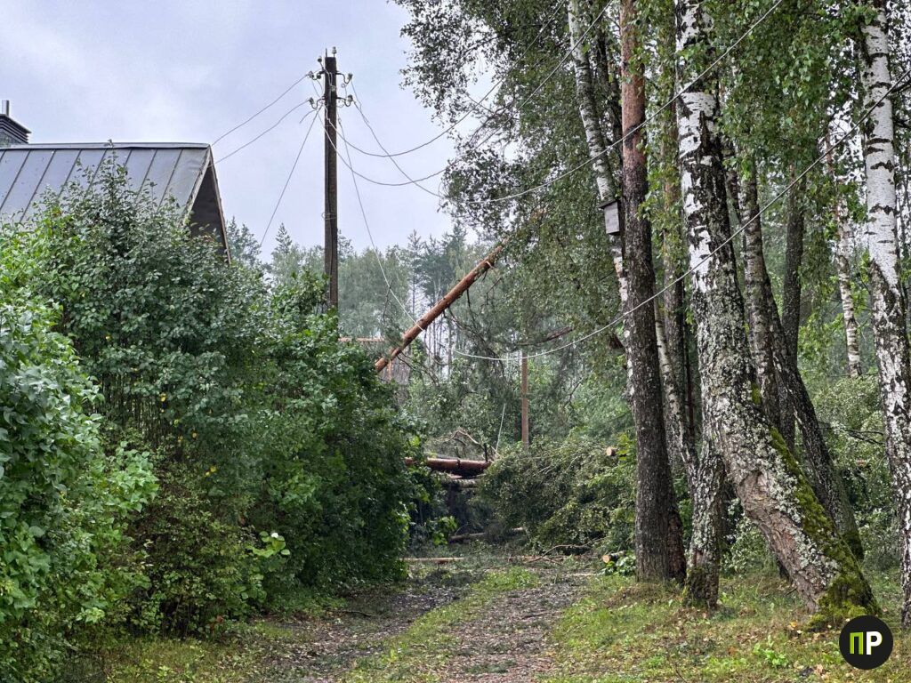 В СТ «Трактор» полностью восстановлено электроснабжение