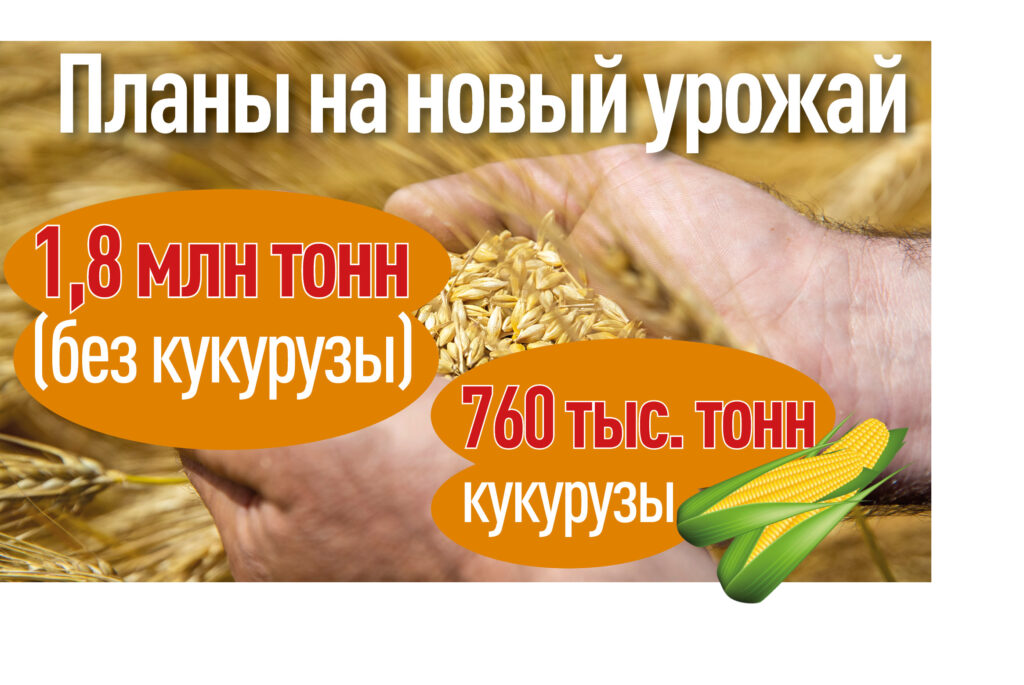 инфографика
