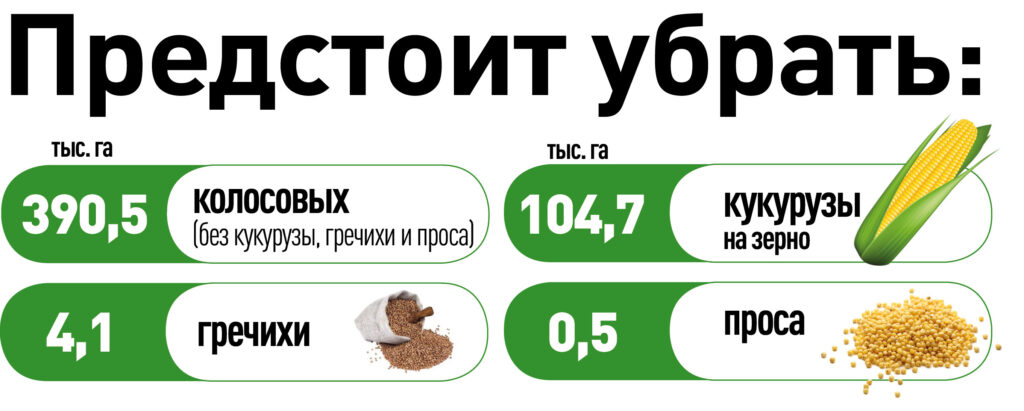 инфографика