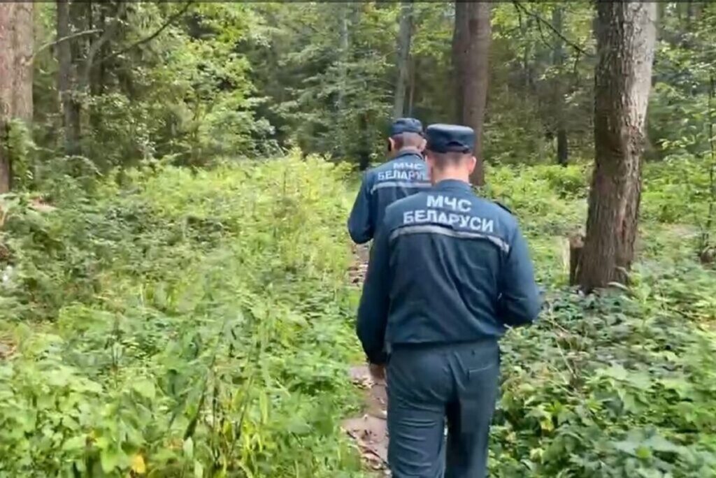 В Борисовском районе в лесу пропал мужчина