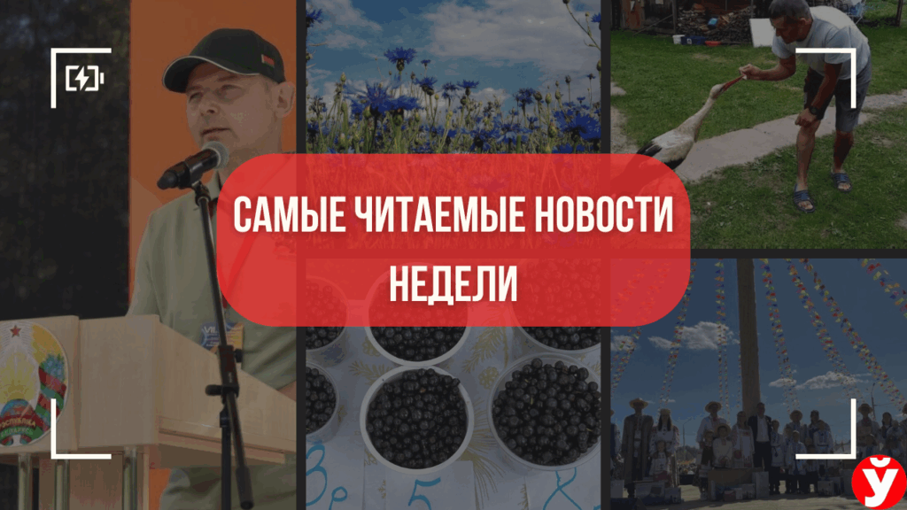 Необычный футбол, «штраф» за фото и домашний аист. Топ-5 новостей Минщины